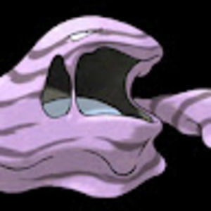 Meet your Posher, Peyton